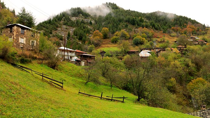 aksamdan kalanlar tweet media