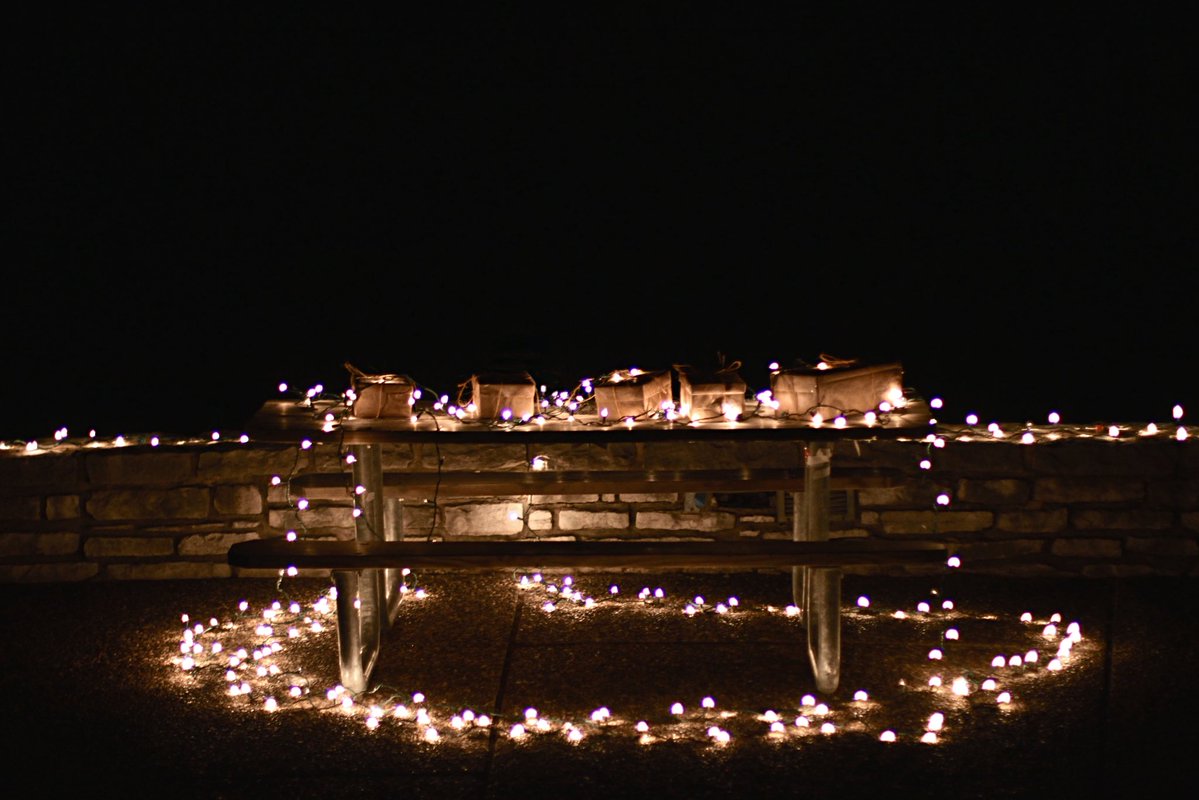 Alyssa 🌻 tweet media