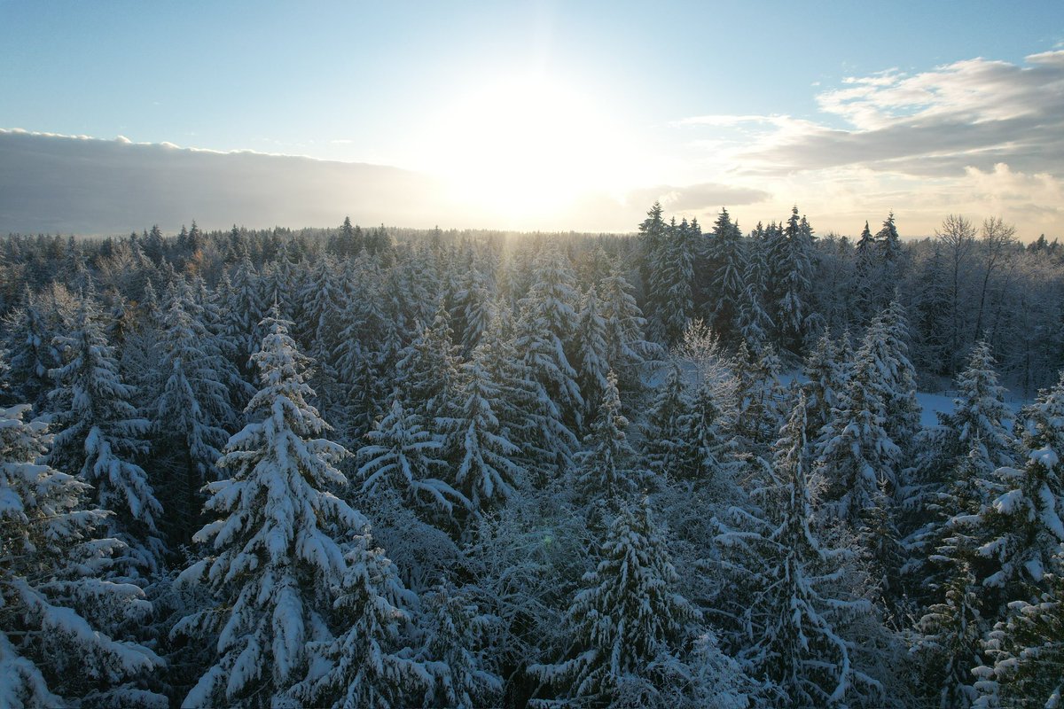 PNWG_Nature tweet media