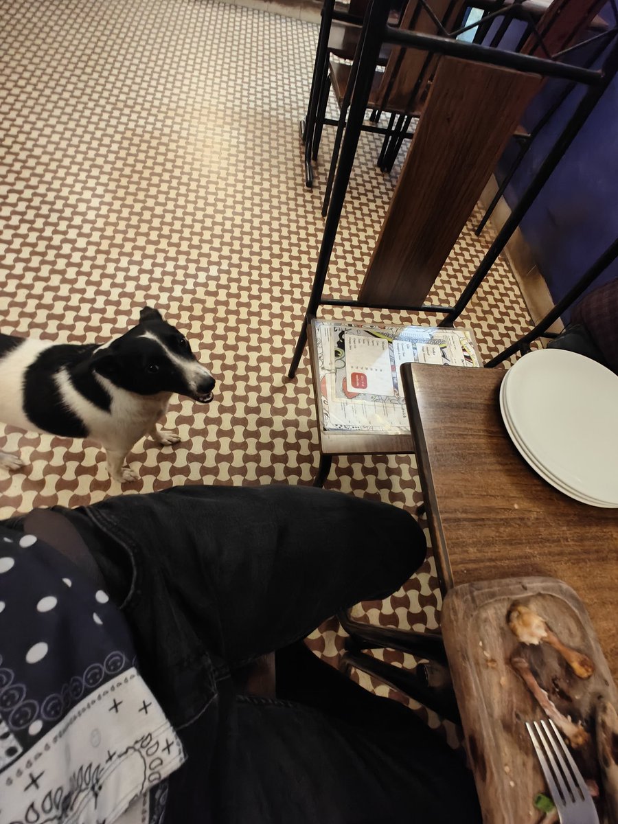 Fredddieeeeeeeee🪴💙❤️💙 tweet media