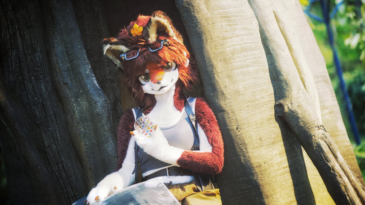 祈橘 ききつ🍁🦊➡️JMOF2026 tweet media