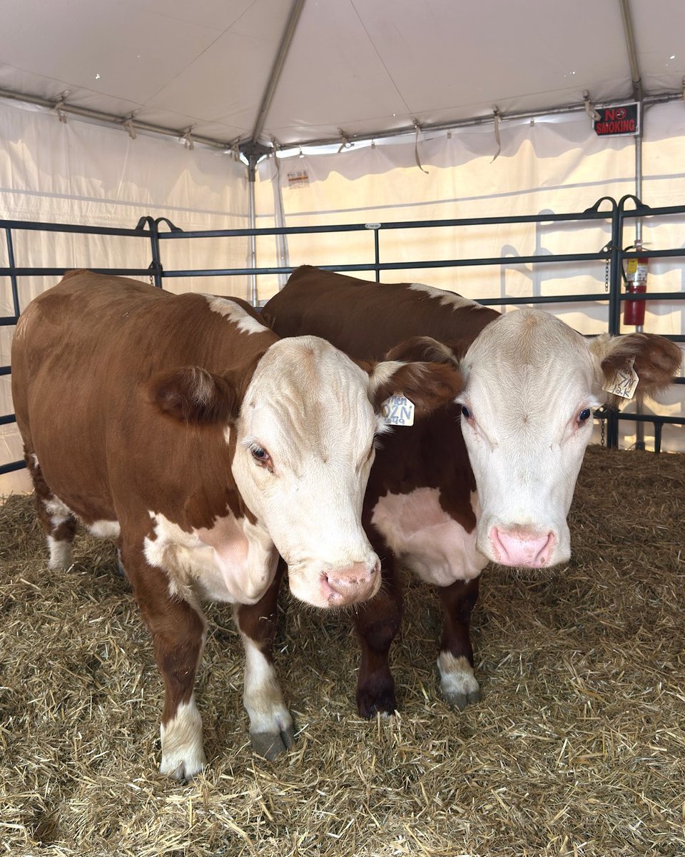 NC State College of Agriculture and Life Sciences tweet media