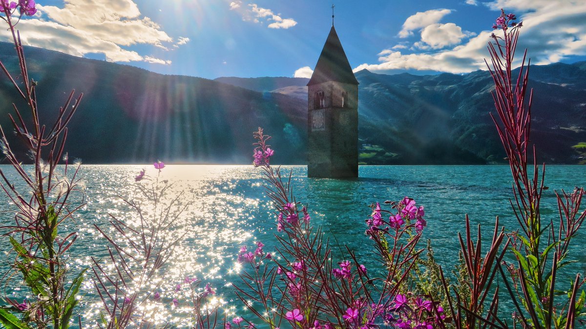 ⋉ ֍ ⋊ tweet media