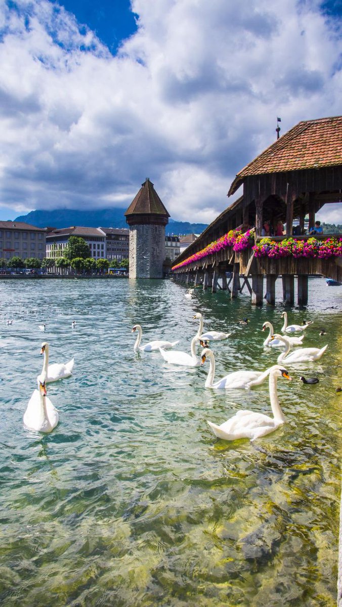 Beauty Explorer tweet media