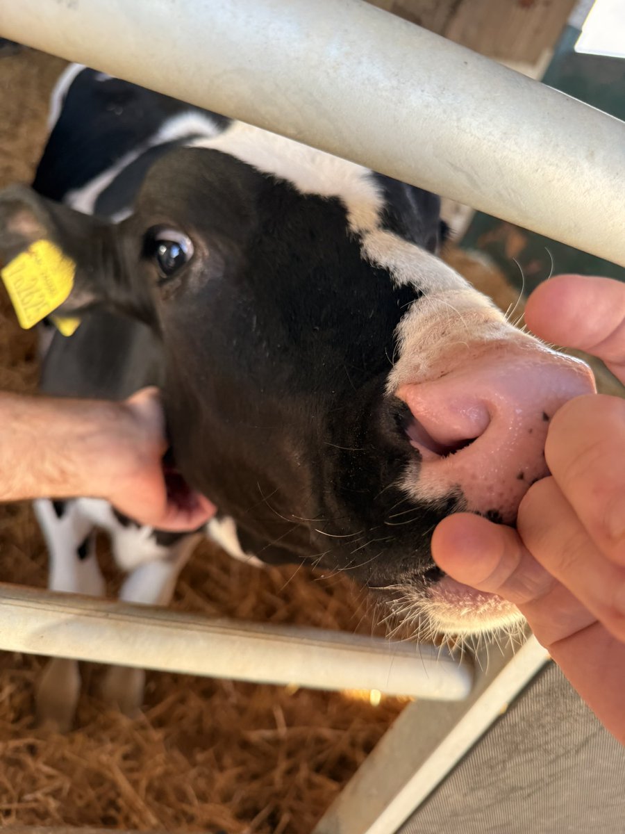 Life of a showLuke ⭐ tweet media