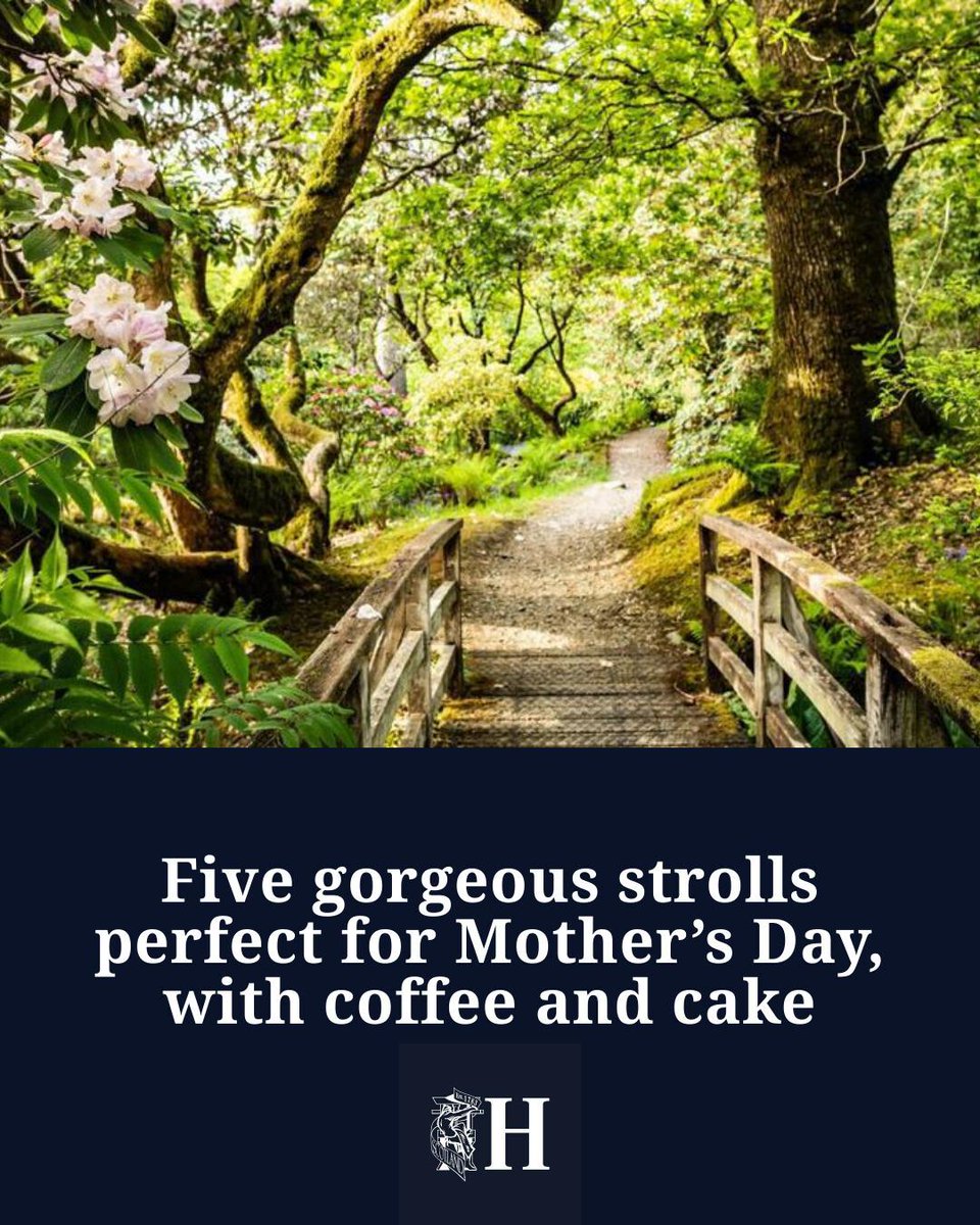 The Herald tweet media