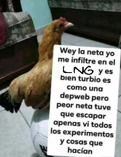 ♱ Ｇｗａｒａｖｅｌ ♱ tweet media