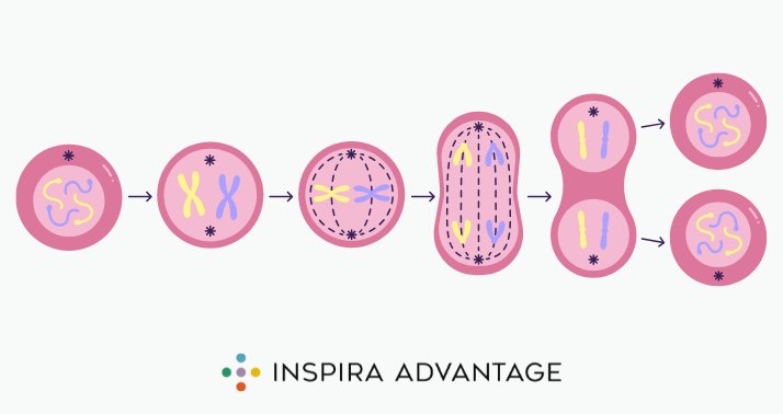 when your sister steps on your toe
Me: