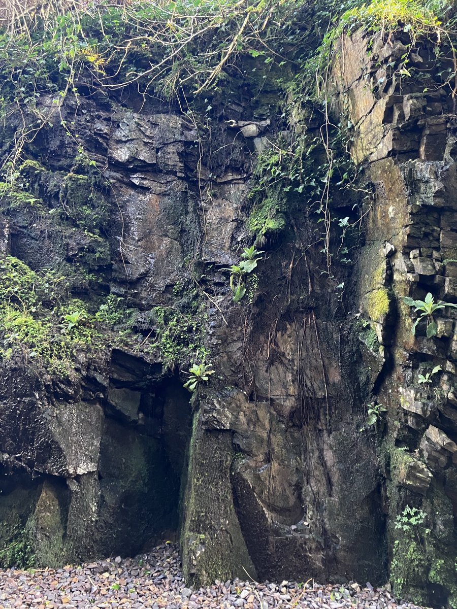 Scubablue15's tweet photo. Continuing on the #100MilesInMarch #SouthKerryGreenway. #Kells #Kerry
https://t.co/8aQZroGby4 https://t.co/qLRwWClhFL