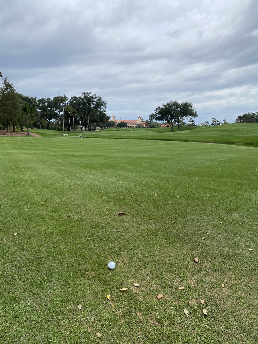 Charlie Rogers tweet media