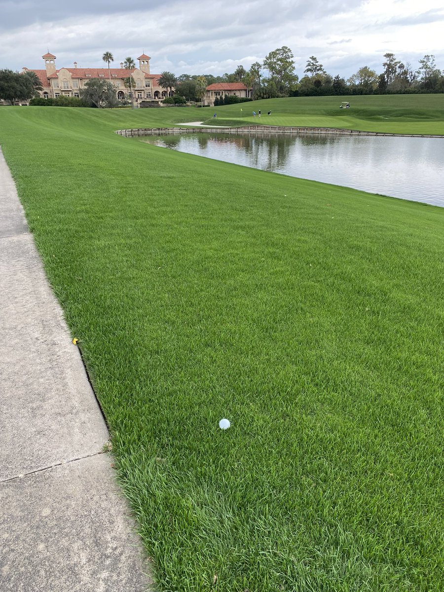 Charlie Rogers tweet media