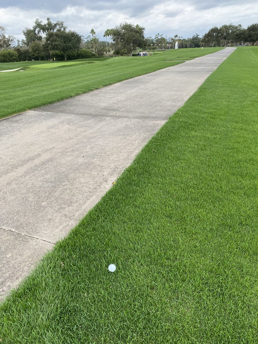 Charlie Rogers tweet media