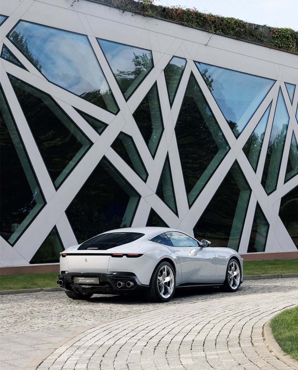 ๐ต๐๐๐๐๐๐ ๐ฟ๐๐๐ tweet media