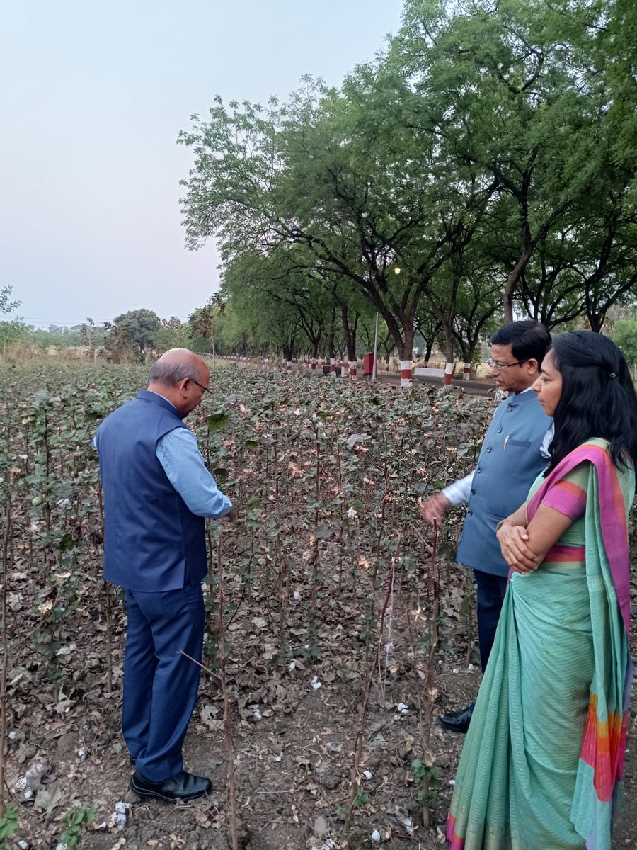 Cotton Corporation Of India Ltd. tweet media