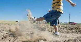 F.S. Barton-Coleman 🇺🇦 🌻 🐸 tweet media