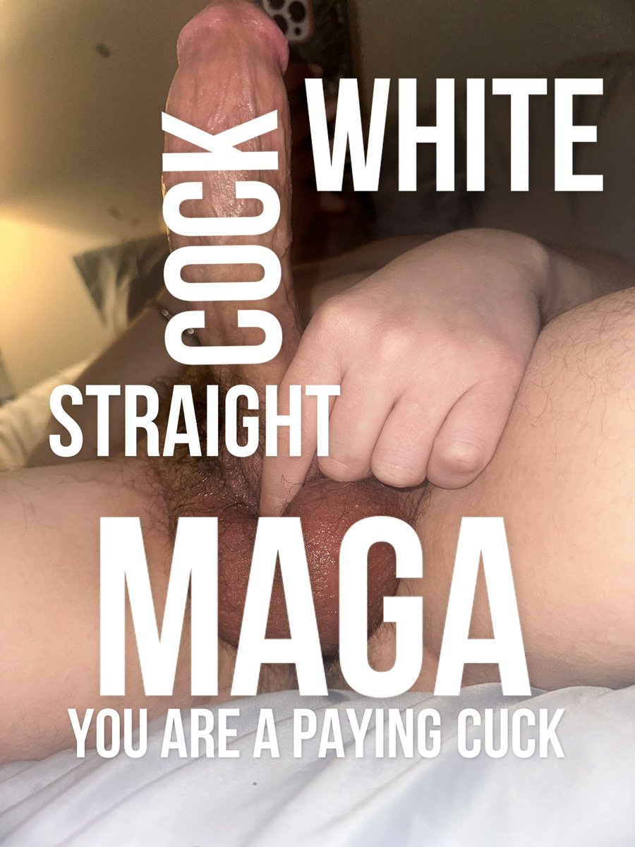 MAGA MASTER BULL 🇺🇸💰 tweet media