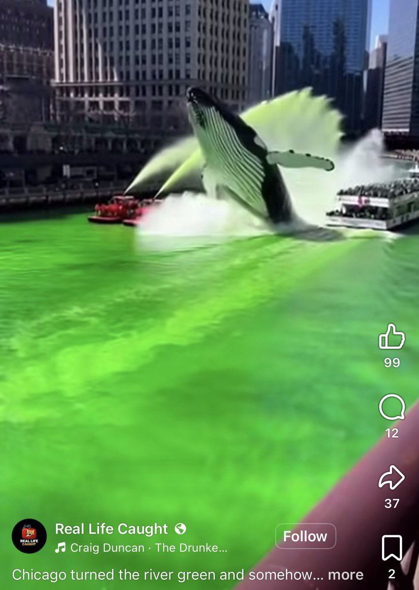 Caitlin Cook tweet media