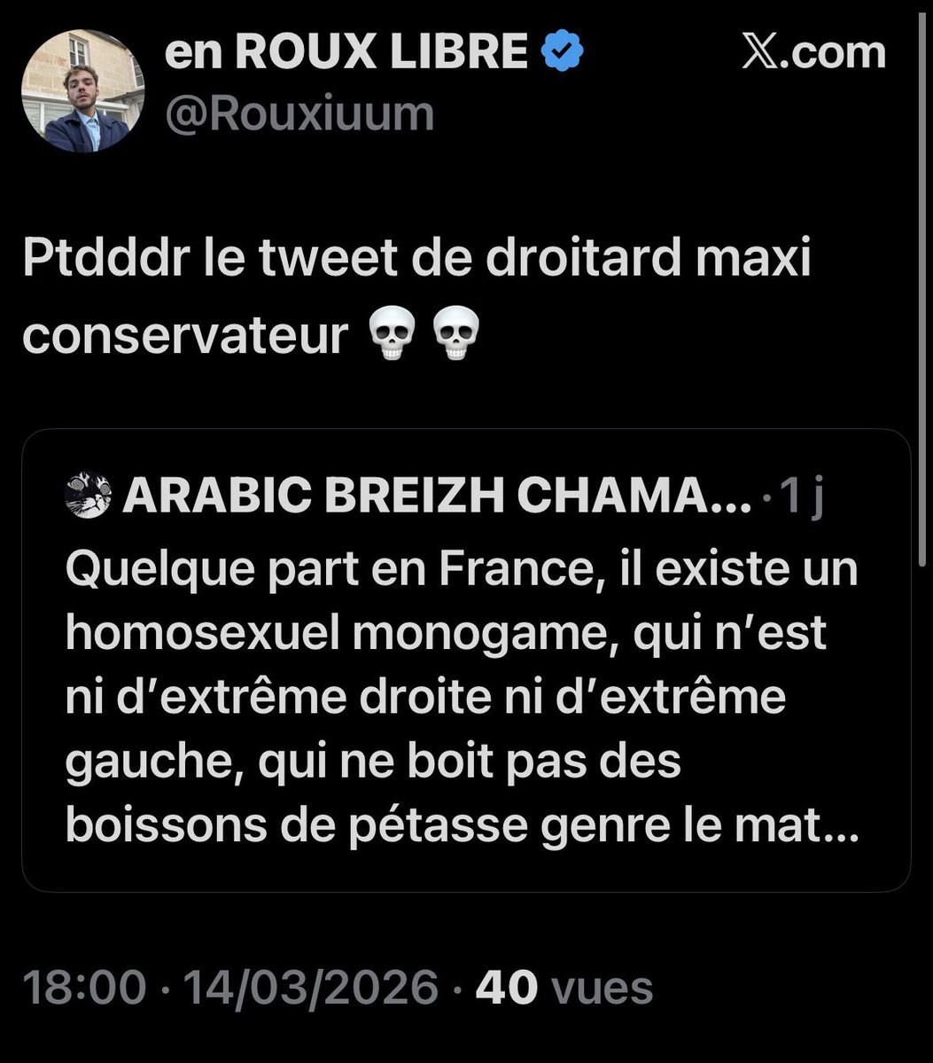 ARABIC BREIZH CHAMAN ✨🧙‍♂️ tweet media