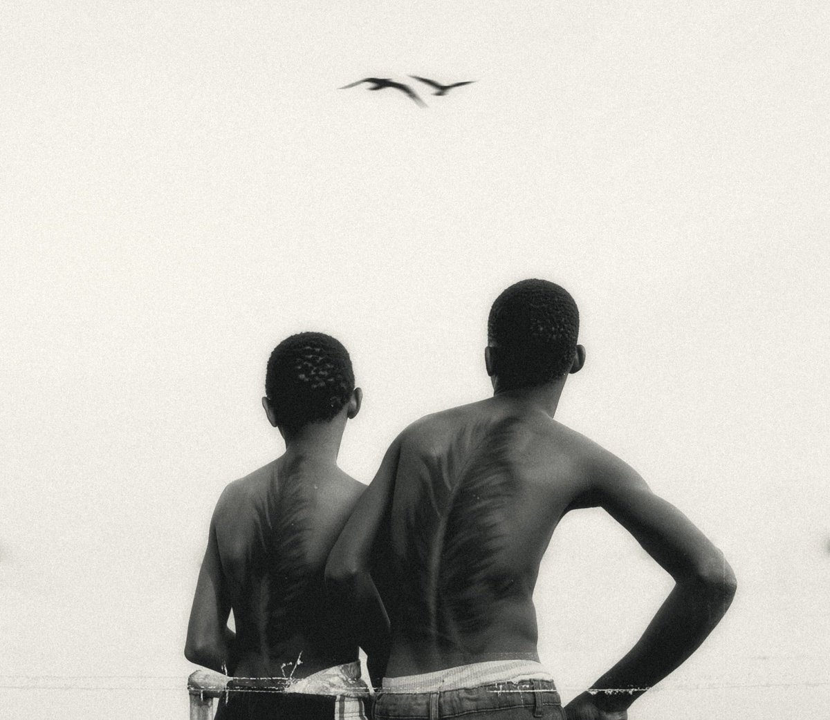 The Shallow Tales Review tweet media