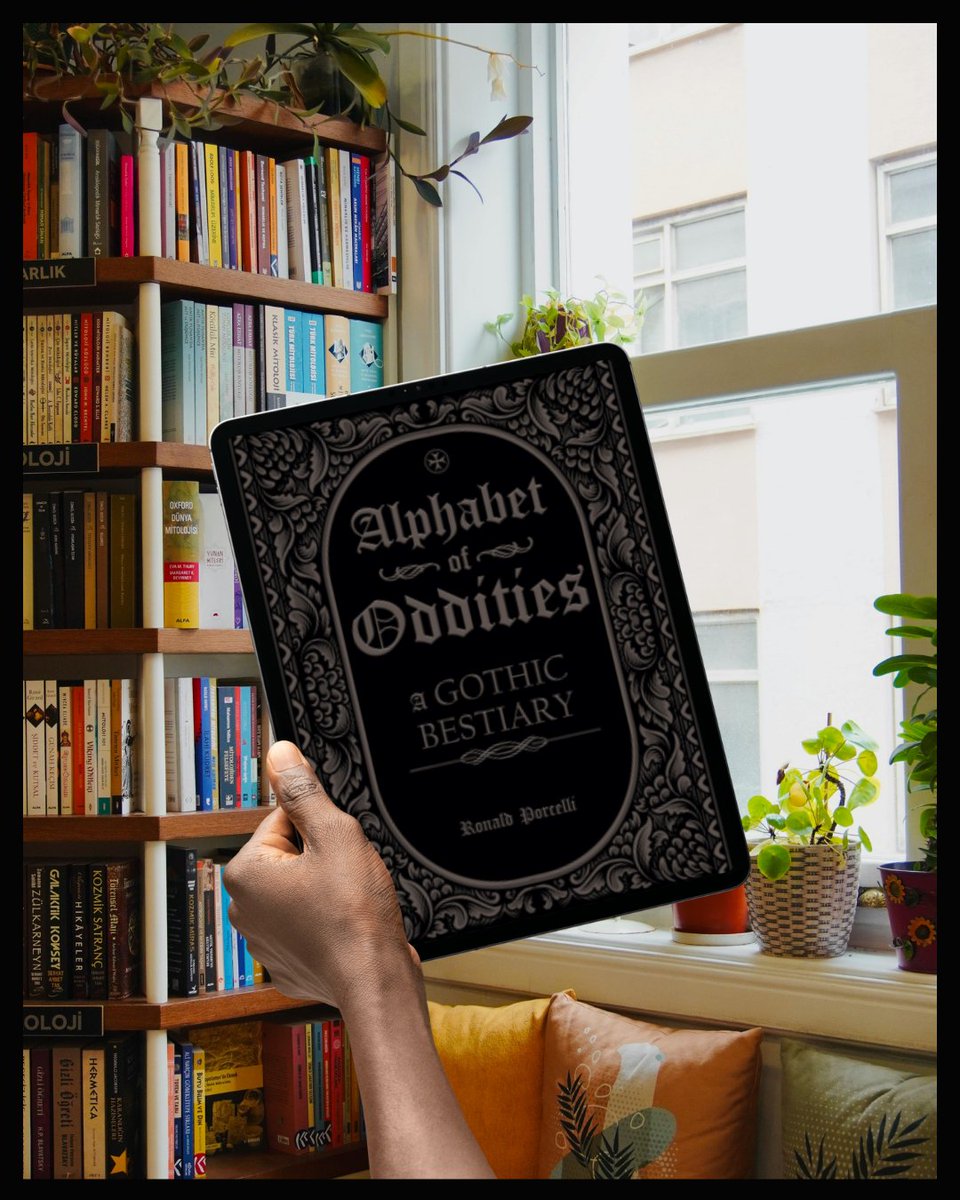 Bibliophileverse tweet media