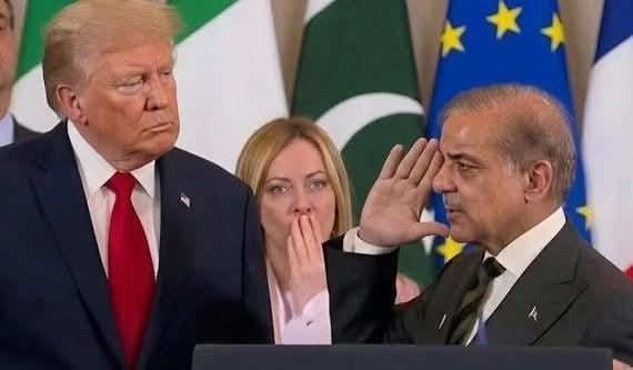 king ik lover tweet media