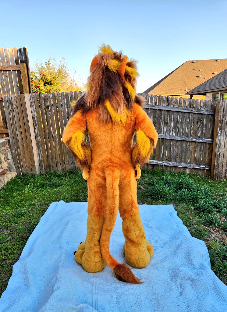 🌿 WILDS 🌿 tweet media