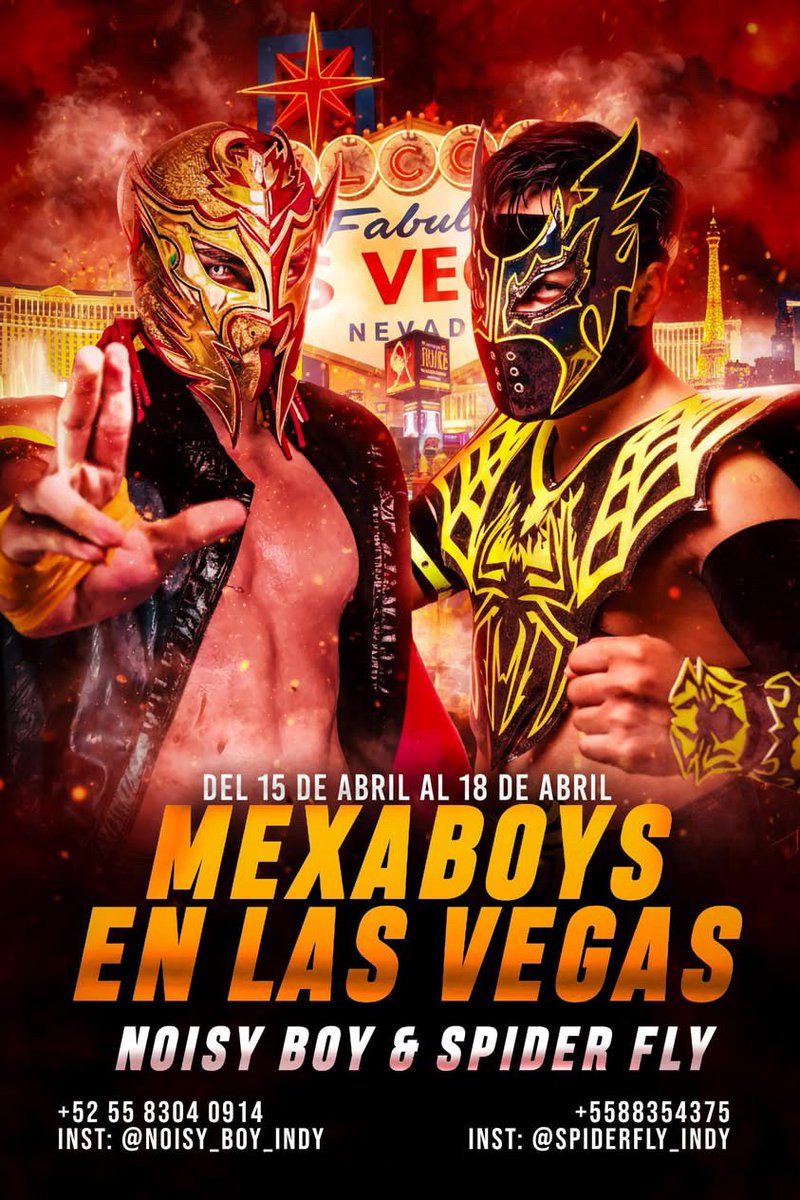 SpiderFly Luchador tweet media