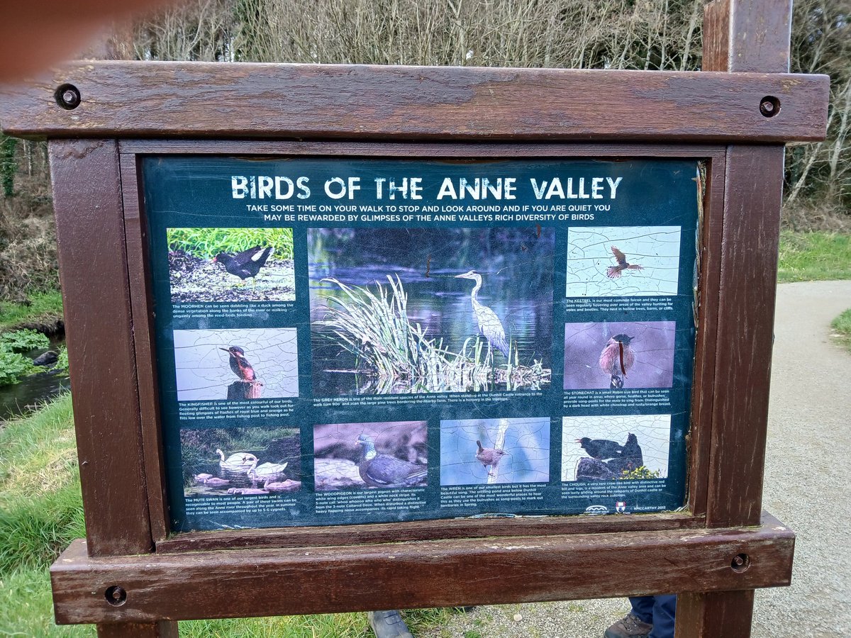 John Geraghty tweet media