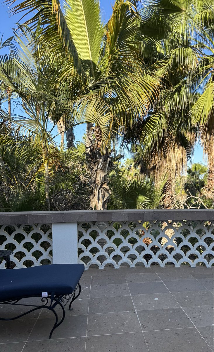 StudioConover tweet media