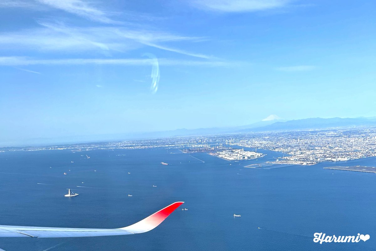 Harumi✈︎ tweet media