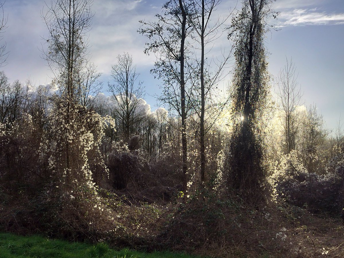 Rob Visser robpro.nl tweet media