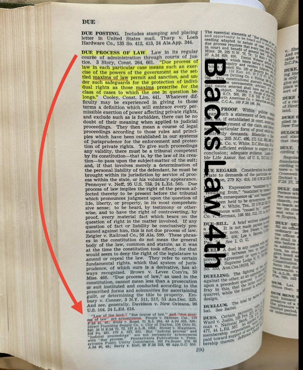 Riley Flack ⚖️ tweet media