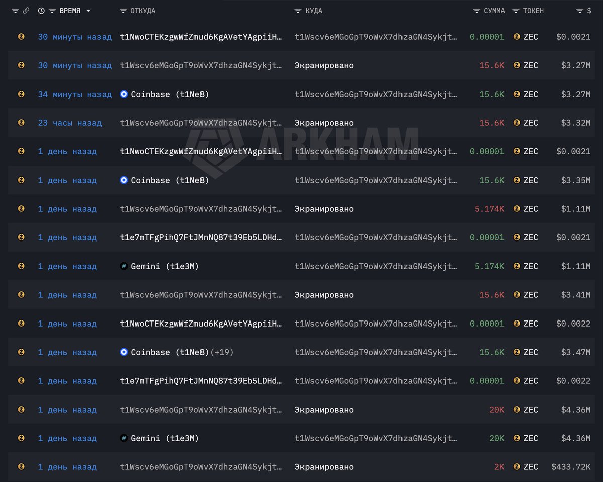 #prozcash 🦓🛡♥️ tweet media