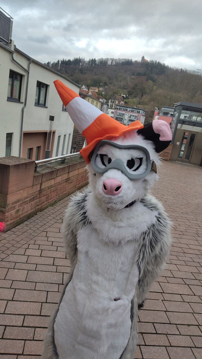 Programmausfall tweet media