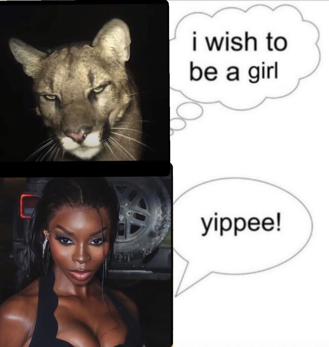 Kat ྐ❤︎ tweet media