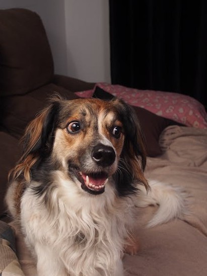 Entendu au bureau tweet media