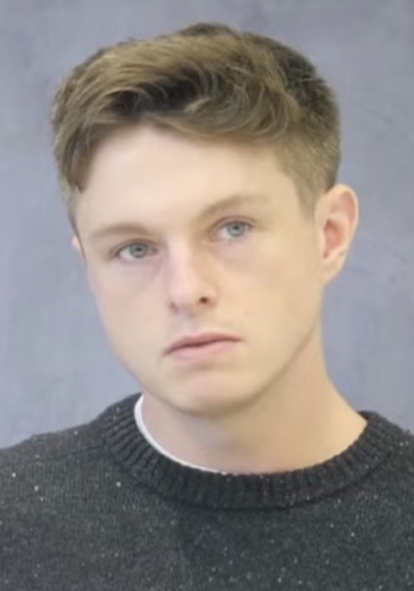 Martin Sellner tweet media