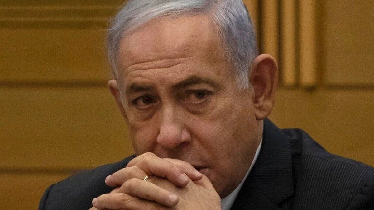 Censored Humans tweet media