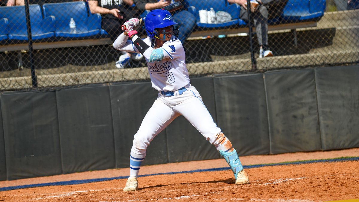 Lindsey Wilson University Athletics tweet media