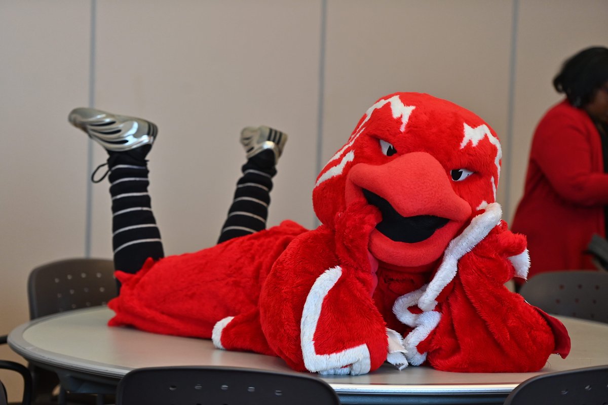 St. John's University tweet media