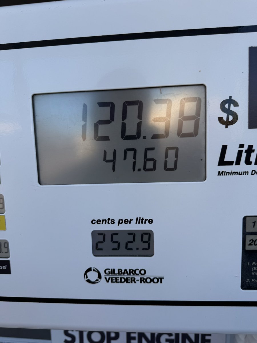 Lucky Chappy tweet media