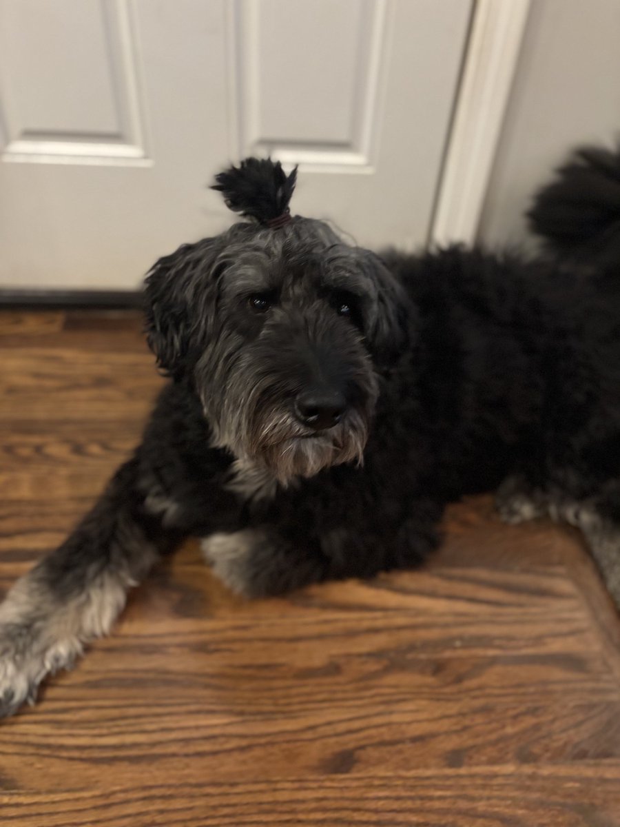 RandCorp #RareEvo26 tweet media