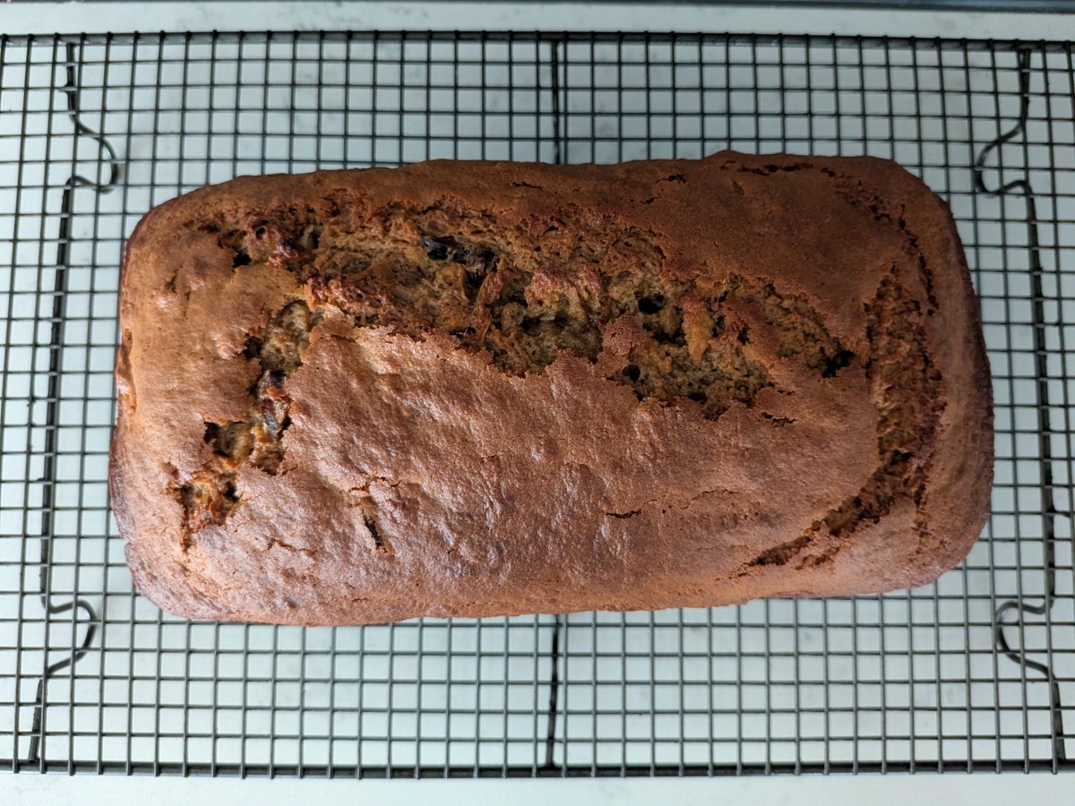 THE MⱯLTESE STⱯLLION tweet media