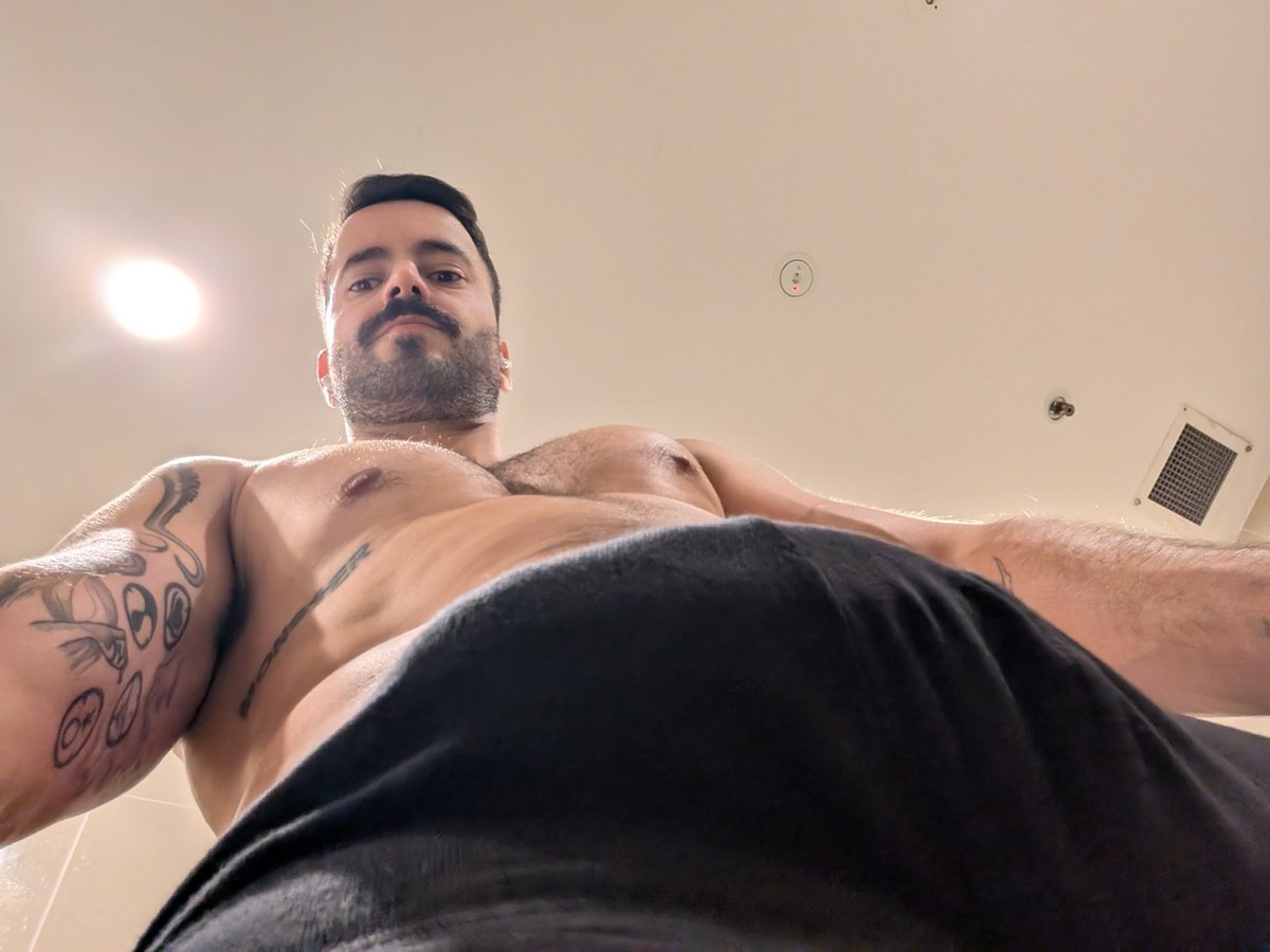 THE MⱯLTESE STⱯLLION tweet media