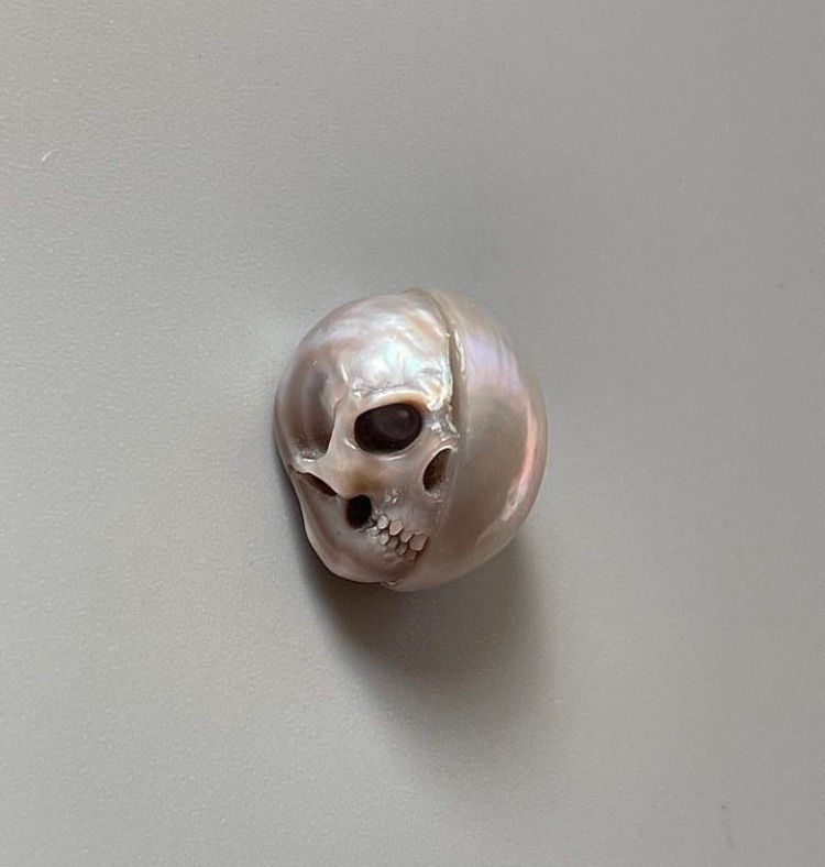 Ramin Nasibov tweet media