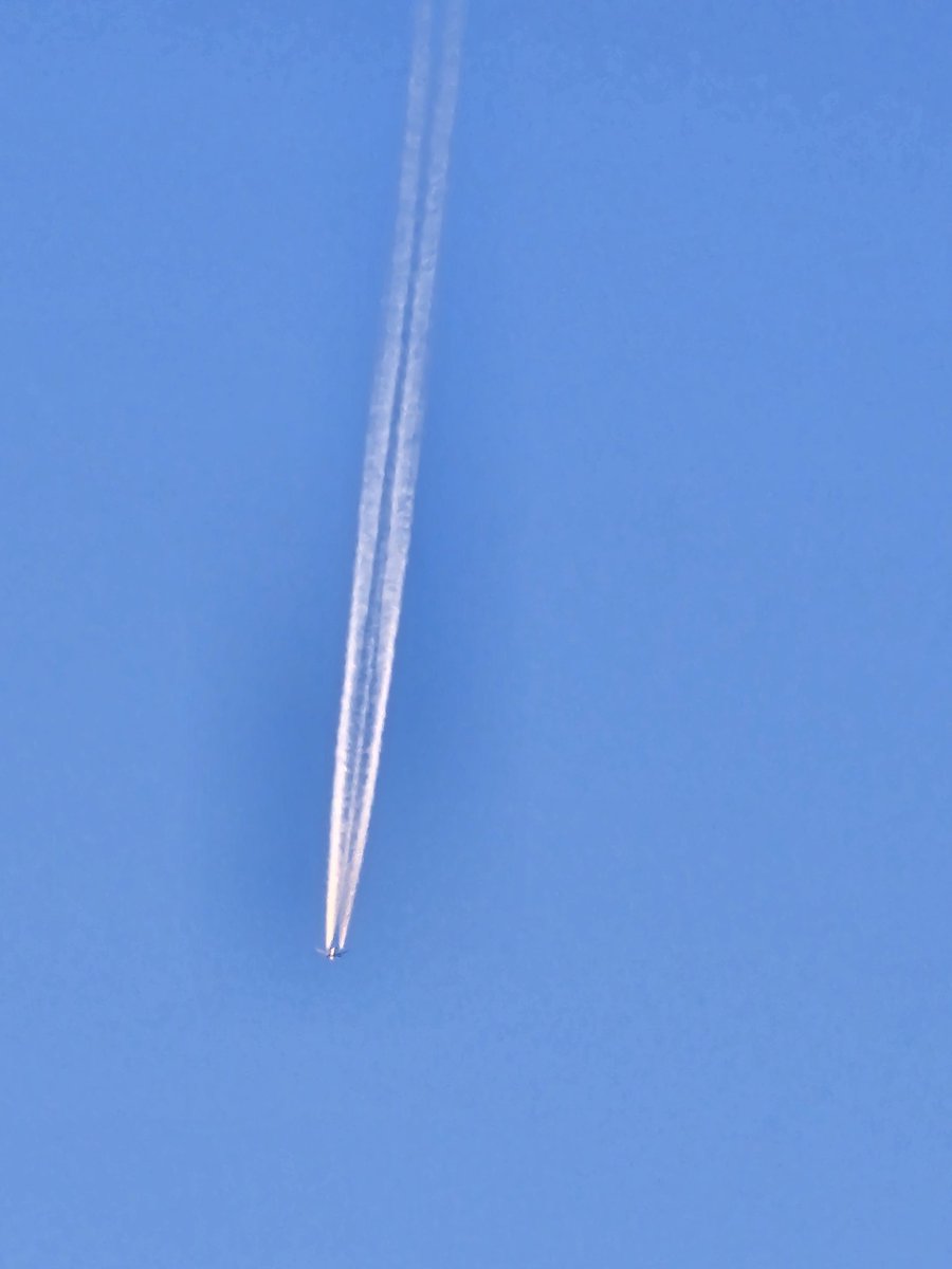 Jane Pike 💜💙 tweet media