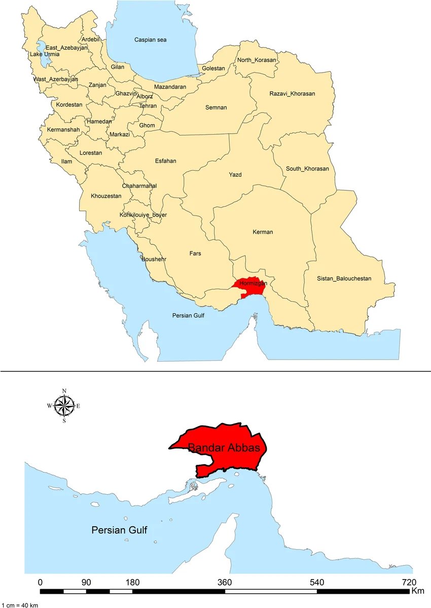 One Proud Bavarian tweet media