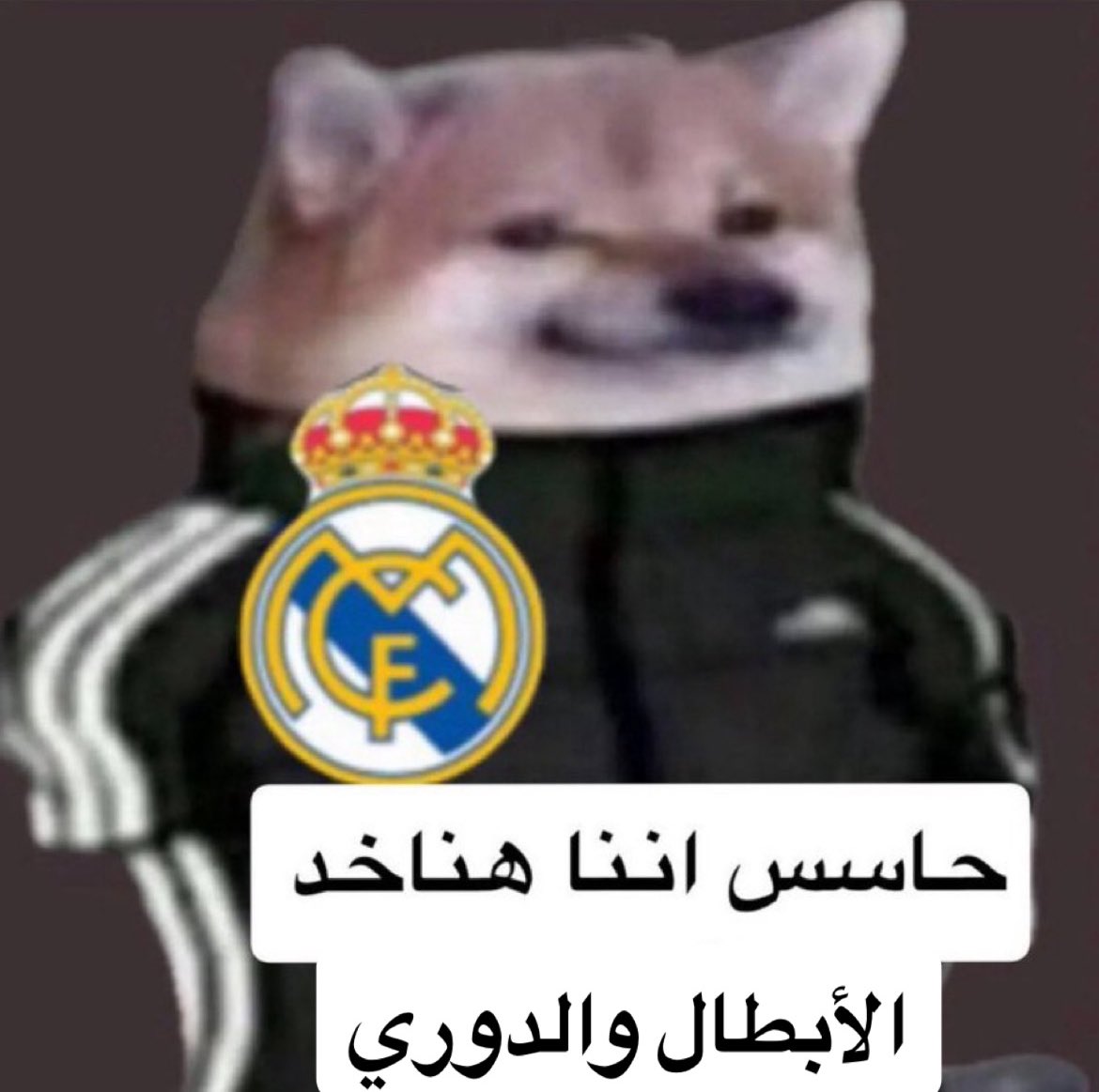 بعد 3 مباريات فوز ورا بعض