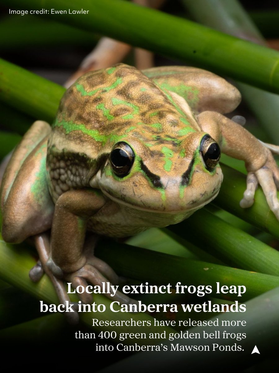 Australian Geographic tweet media