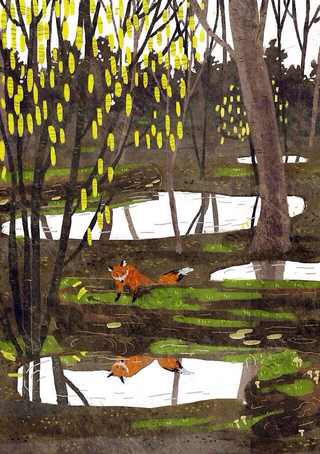 Lara Paulussen
Fox in a Forest